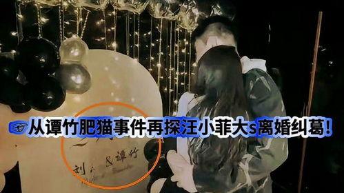 肥猫事件爆料最新,最新爆料揭露惊人内幕