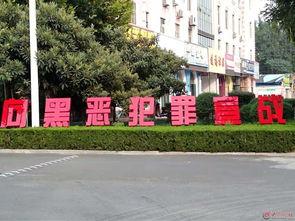 宁阳金阳广场最新爆料,焕新升级，繁华盛启！