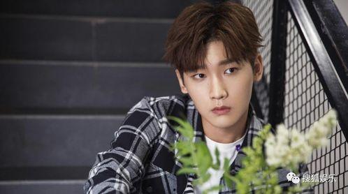 吴旭君恋情爆料最新,神秘男友身份揭秘，甜蜜瞬间引网友热议