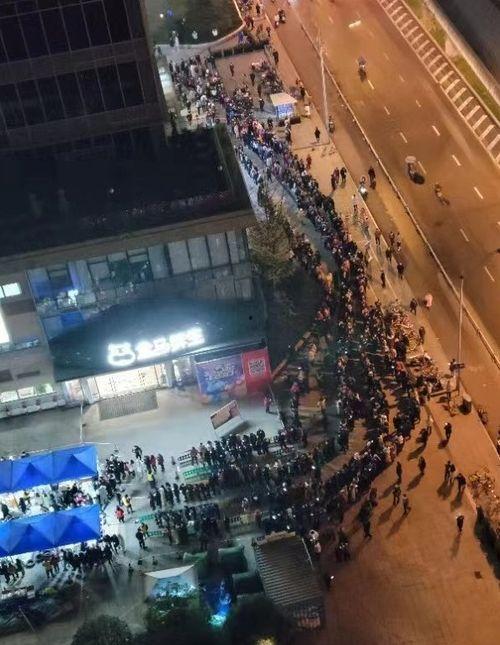 成都楼顶爆料案件最新,揭秘惊人真相与法律追责历程